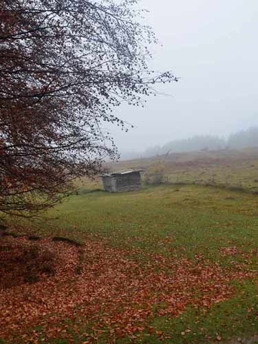 Foto La Balta Marii Florichii (c) Lucian Petru Goja
